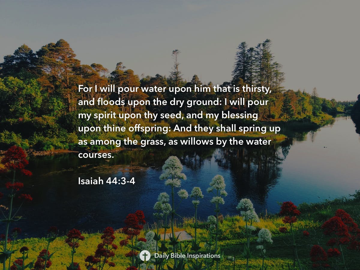 Isaiah 44 3 4 Daily Bible Inspirations