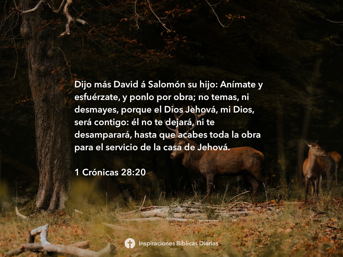 1 Crónicas 2820 Inspiraciones Bíblicas Diarias