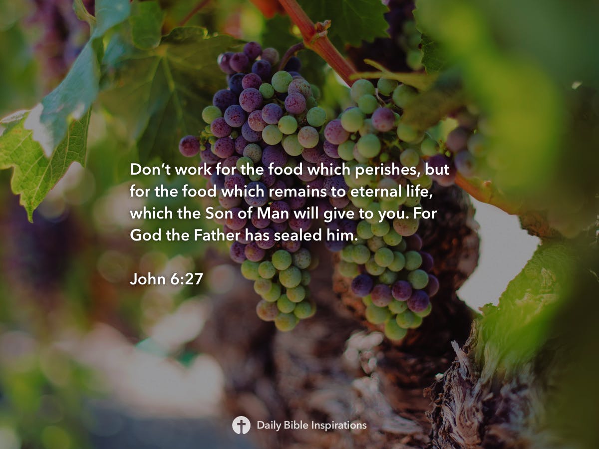 John 6:27 | Daily Bible Inspirations