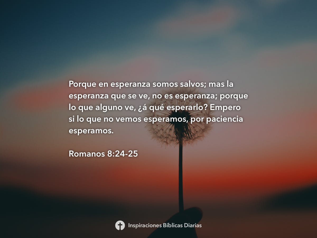 Romanos 8:24-25 | Inspiraciones Bíblicas Diarias