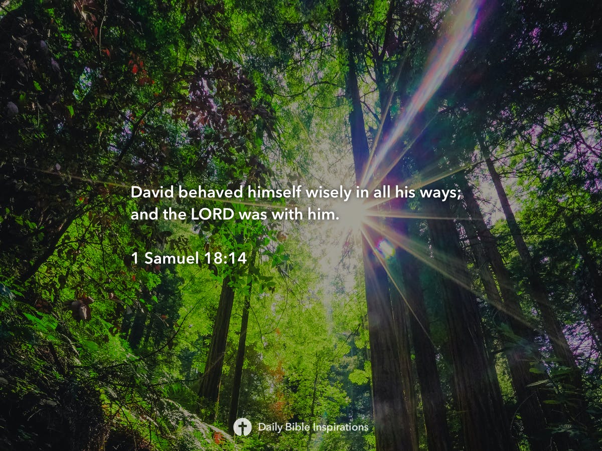 1 Samuel 18:14 | Daily Bible Inspirations