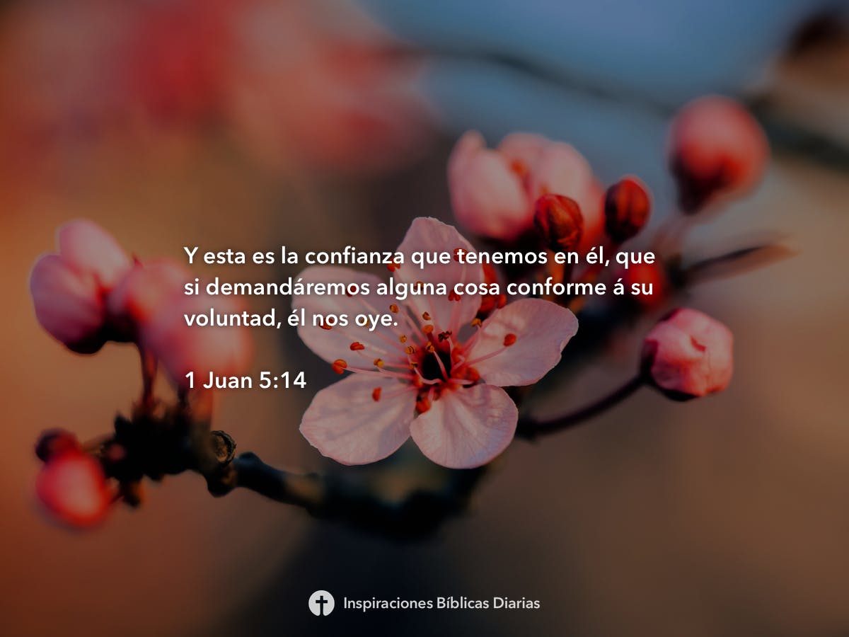 1-juan-5-14-inspiraciones-b-blicas-diarias