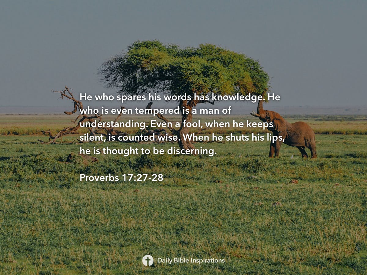 proverbs-17-27-28-daily-bible-inspirations