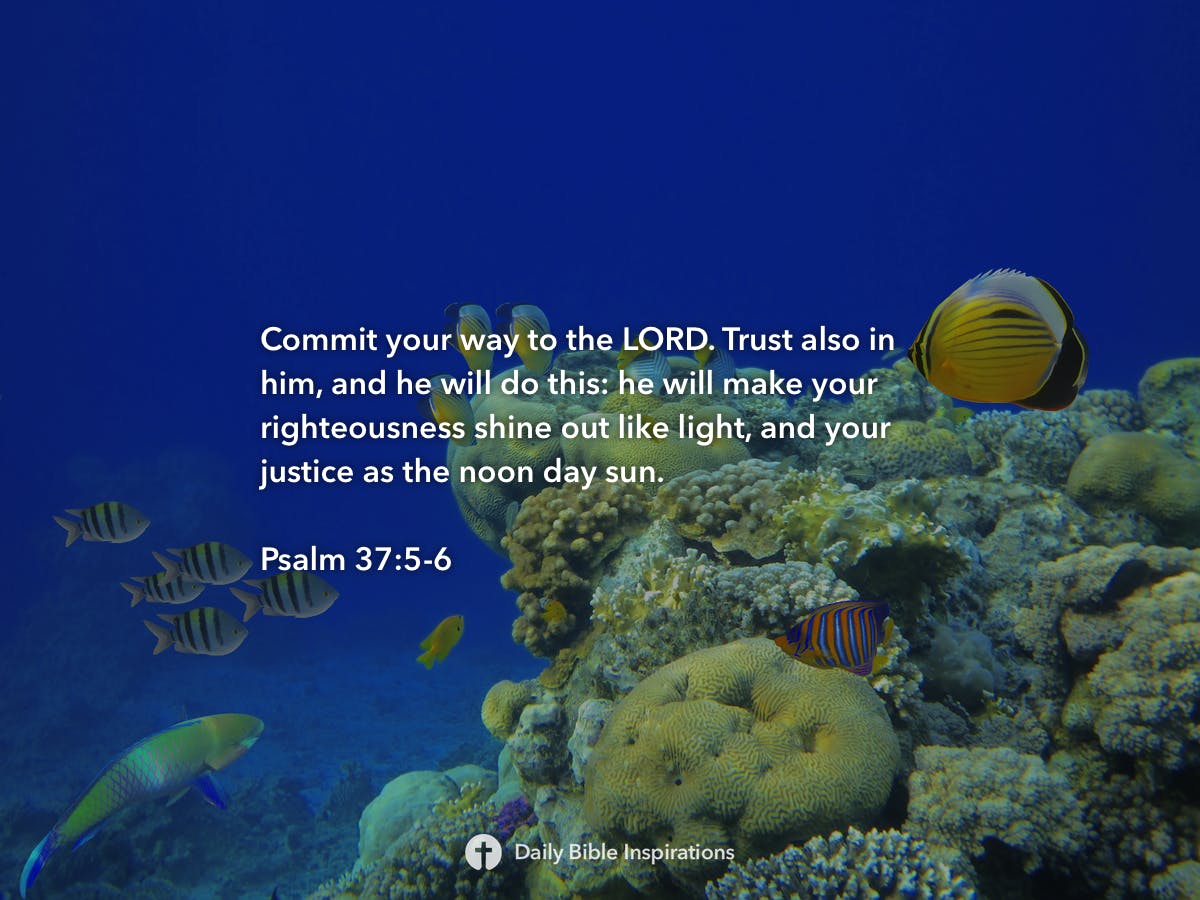 psalm-37-5-6-daily-bible-inspirations
