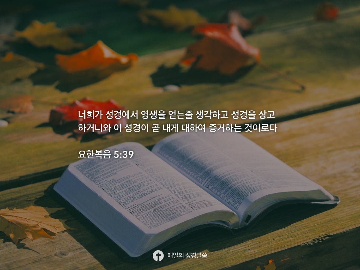 요한복음 5:39 | Daily Bible Inspirations