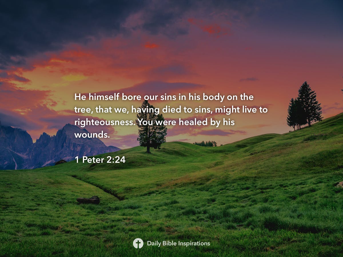 1-peter-2-24-daily-bible-inspirations