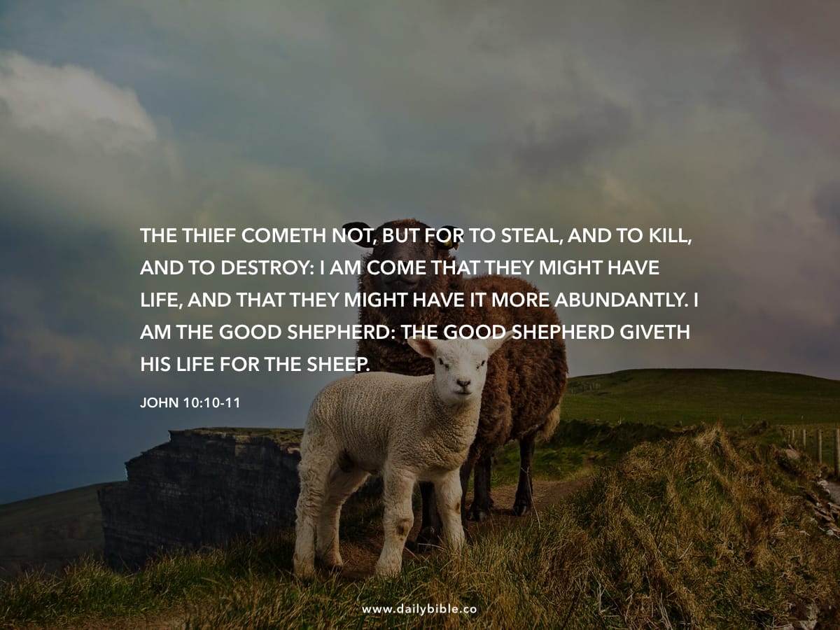 John 10 10 11 daily bible inspirations