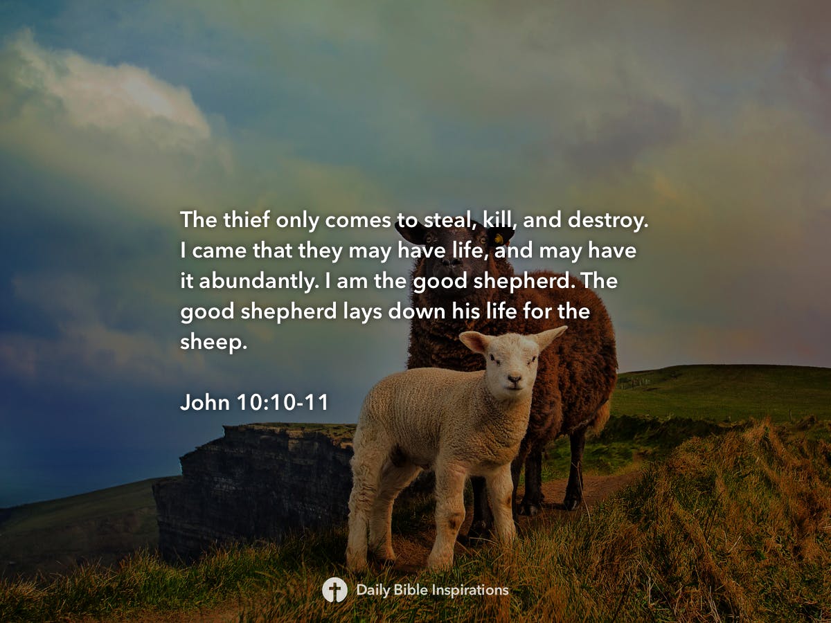 John 10 10 11 daily bible inspirations