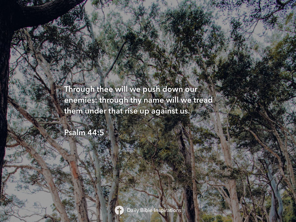 psalm-44-5-daily-bible-inspirations