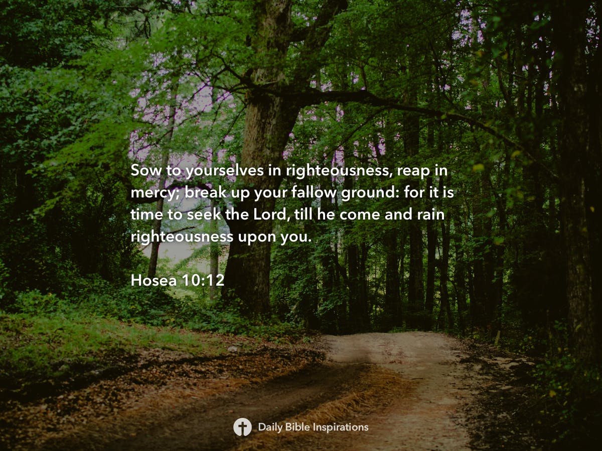Hosea 1012 Daily Bible Inspirations
