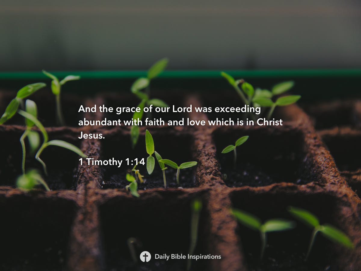 1 Timothy 1:14 - Daily Bible Inspirations