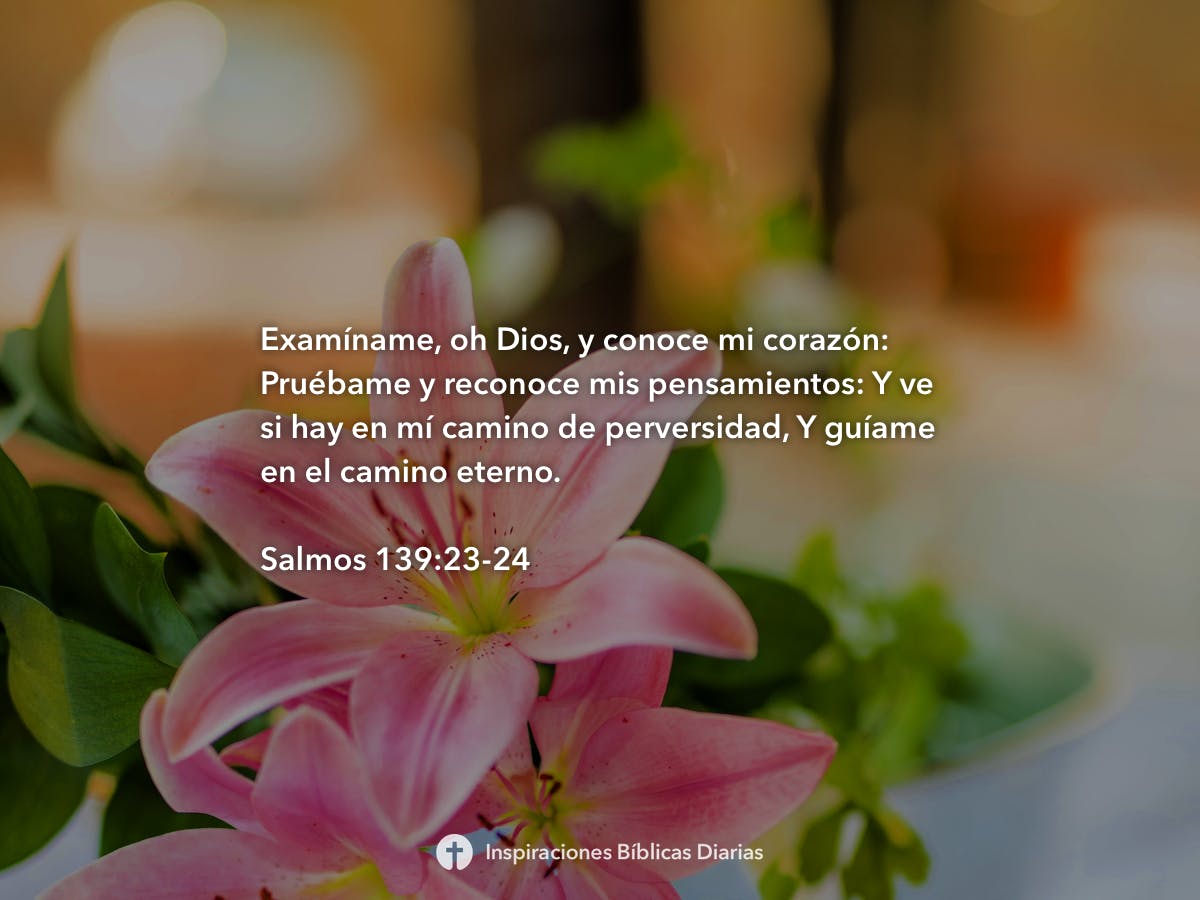 Salmos 13923 24 Inspiraciones Bíblicas Diarias 6393