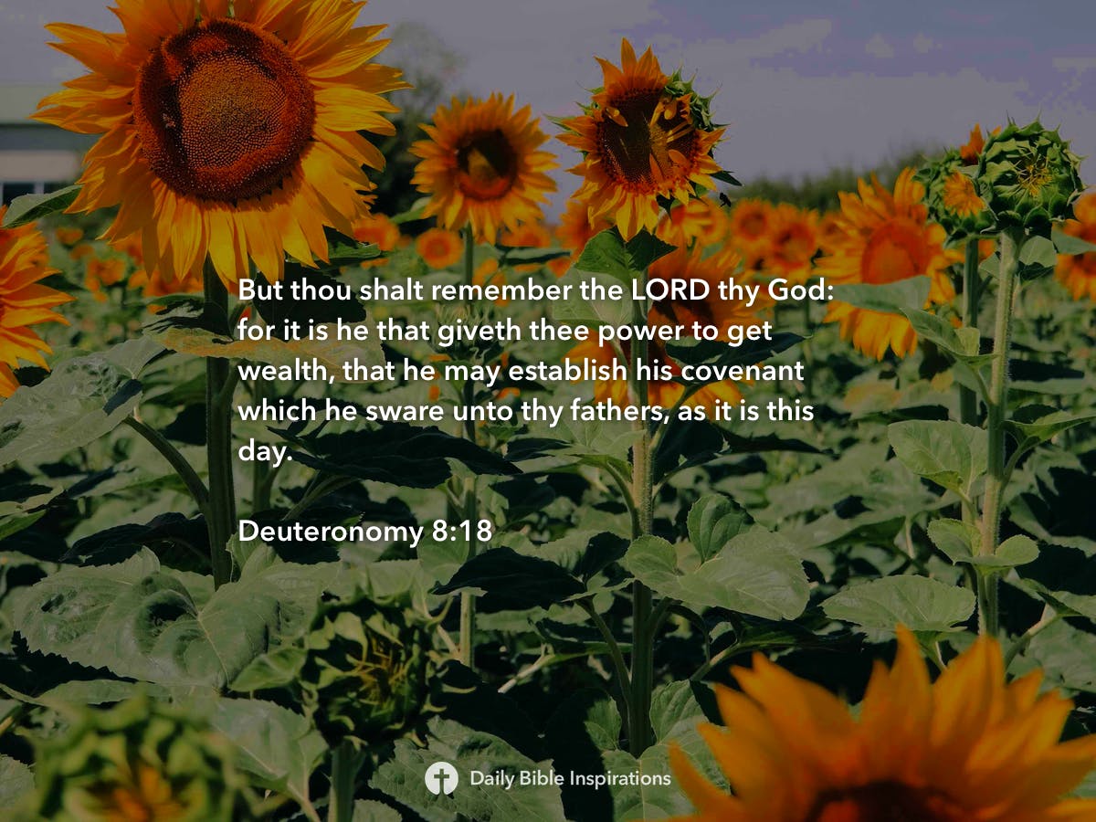 Deuteronomy 8:18 | Daily Bible Inspirations