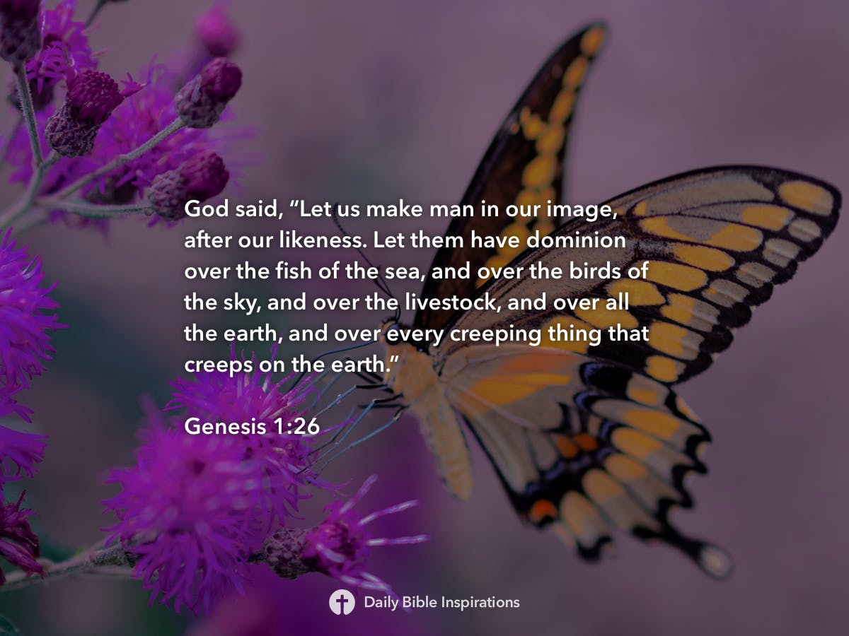 Genesis 126 Daily Bible Inspirations