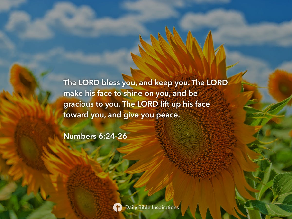 numbers-6-24-26-daily-bible-inspirations