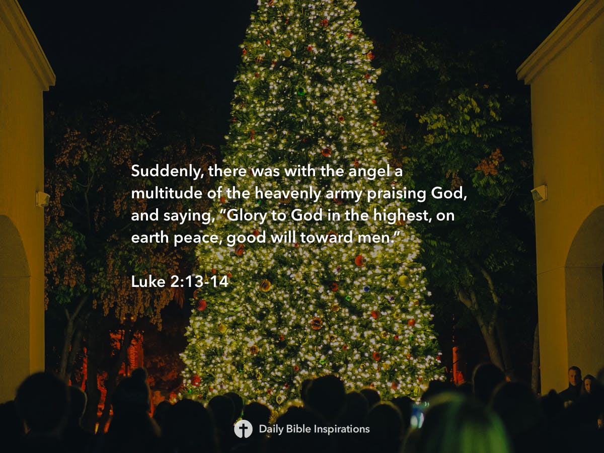 Luke 2:13-14 | Daily Bible Inspirations