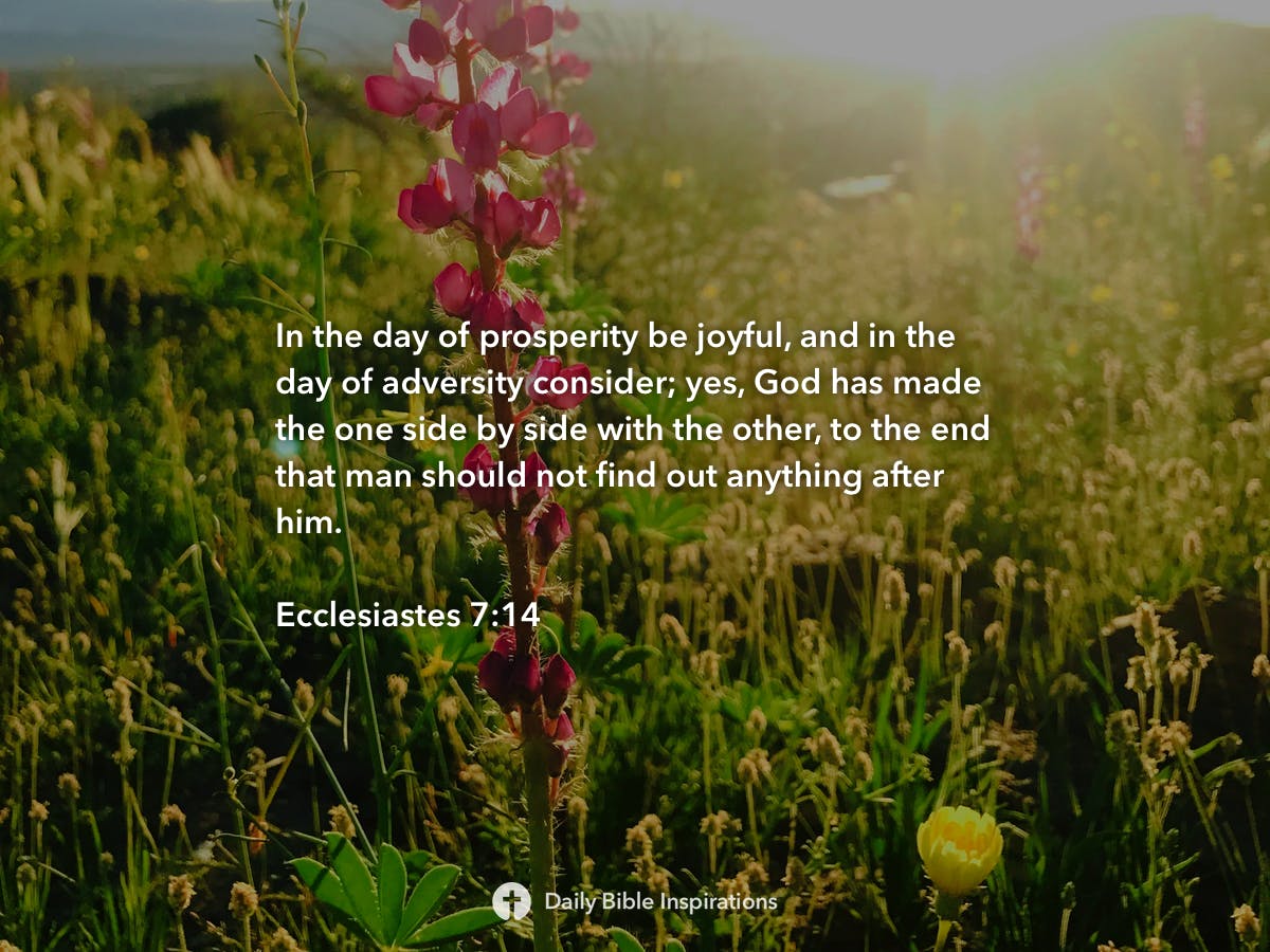 Ecclesiastes 7:14 - Daily Bible Inspirations