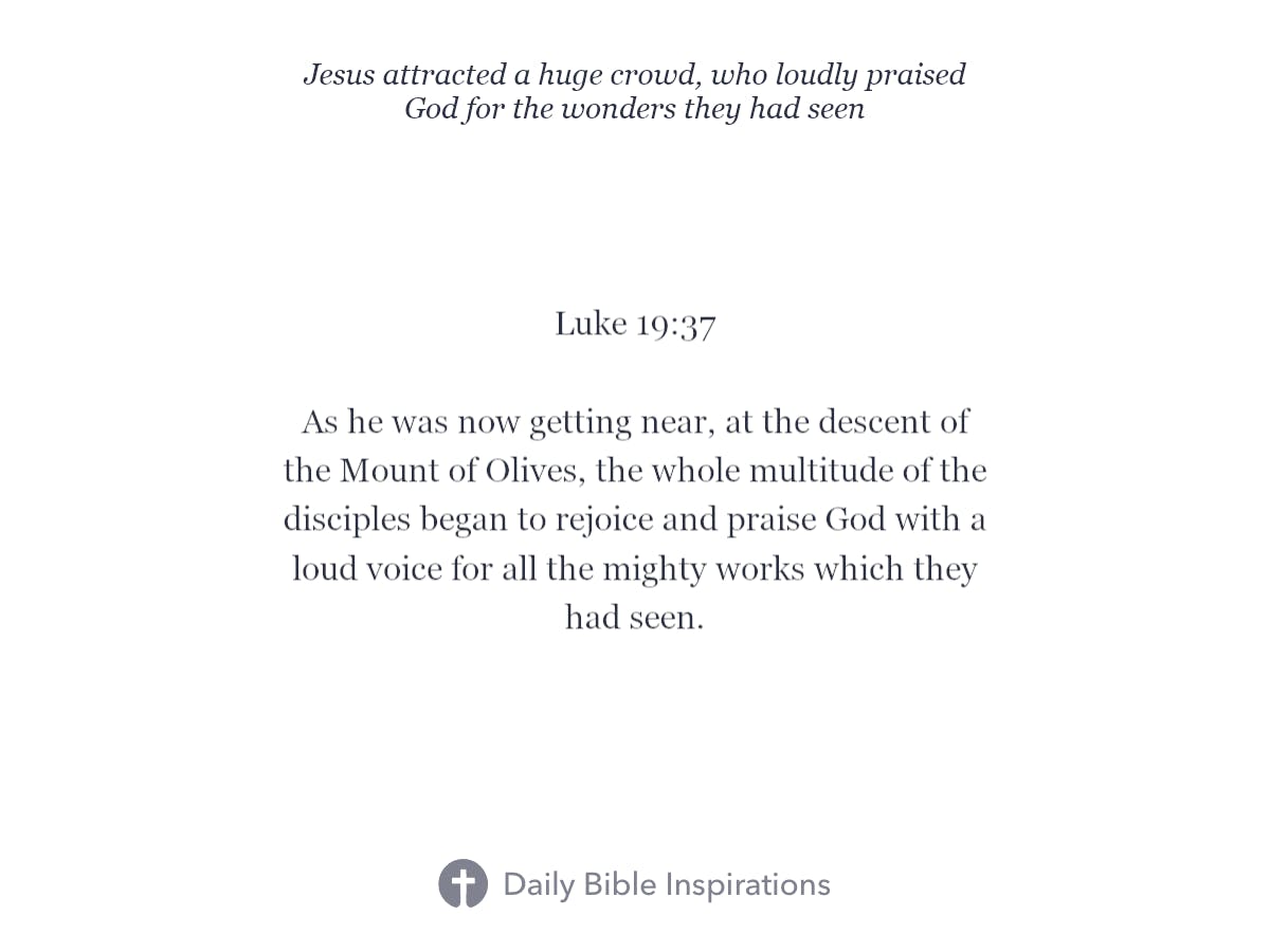 Luke 19:37 - Bible Inspirations