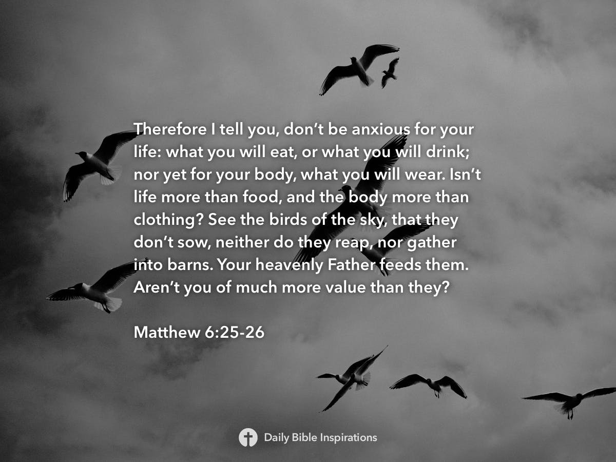 Matthew 6:25-26 | Daily Bible Inspirations