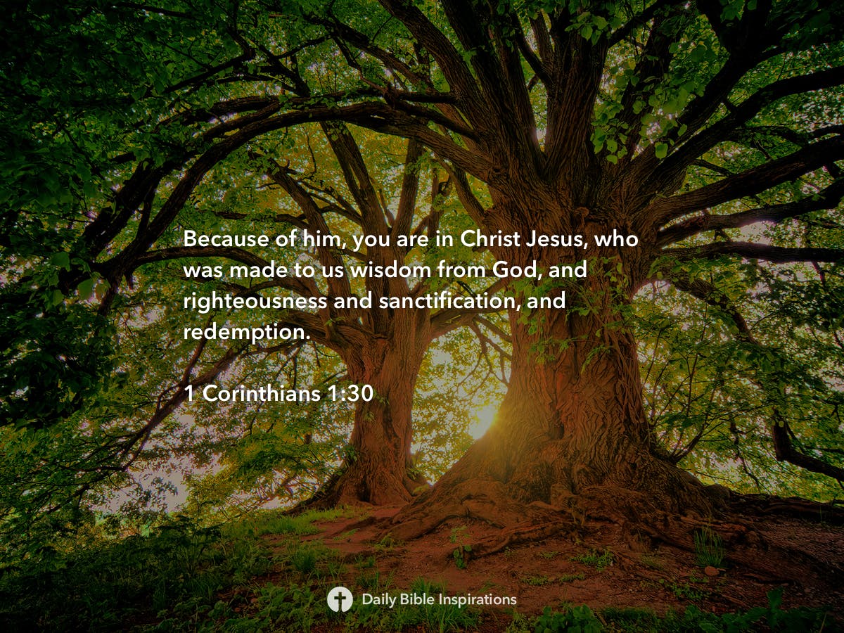 1 Corinthians 1:30 | Daily Bible Inspirations