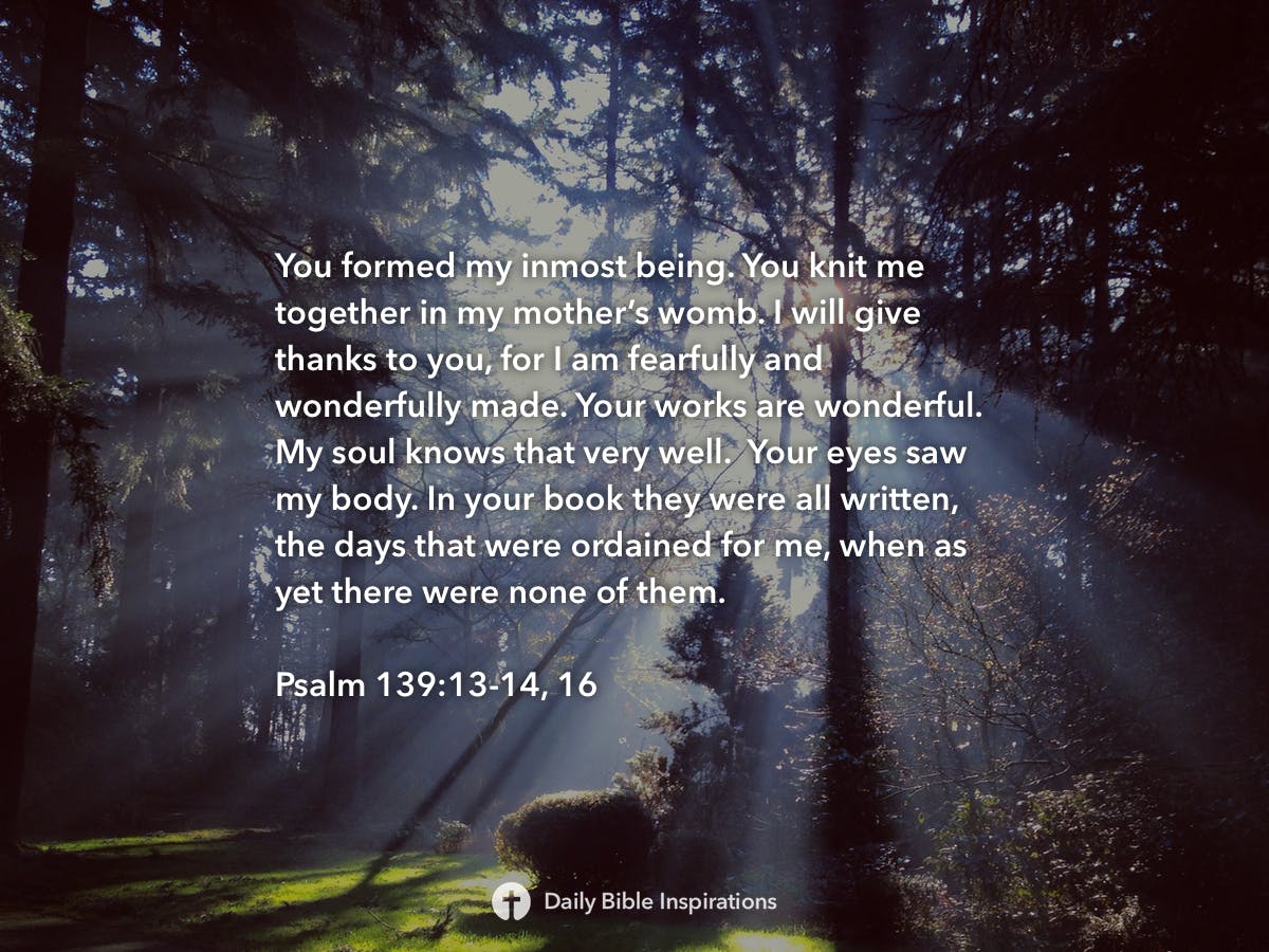 psalm-139-13-14-16-daily-bible-inspirations