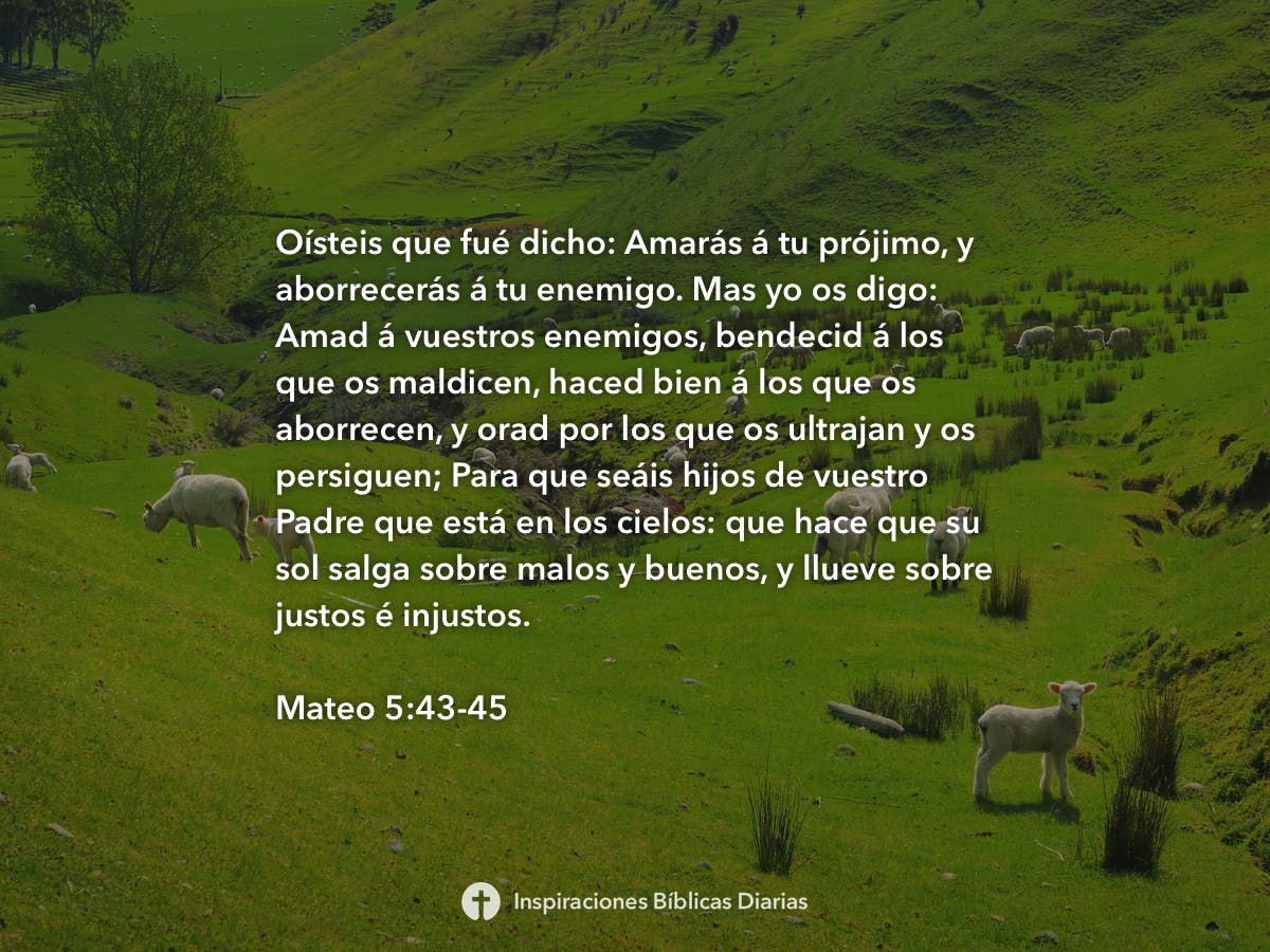 mateo-5-43-45-inspiraciones-b-blicas-diarias