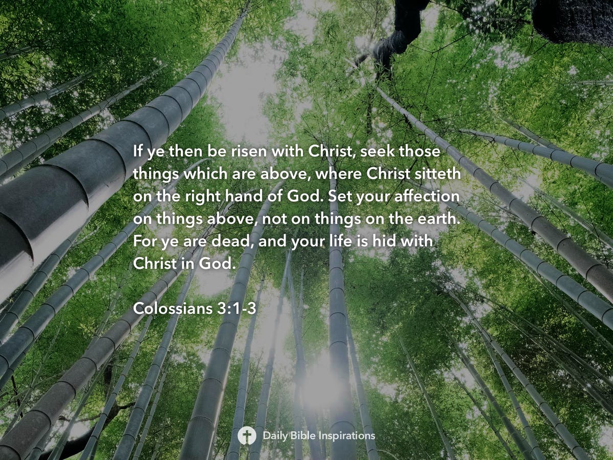 Colossians 3:1-3 - Daily Bible Inspirations