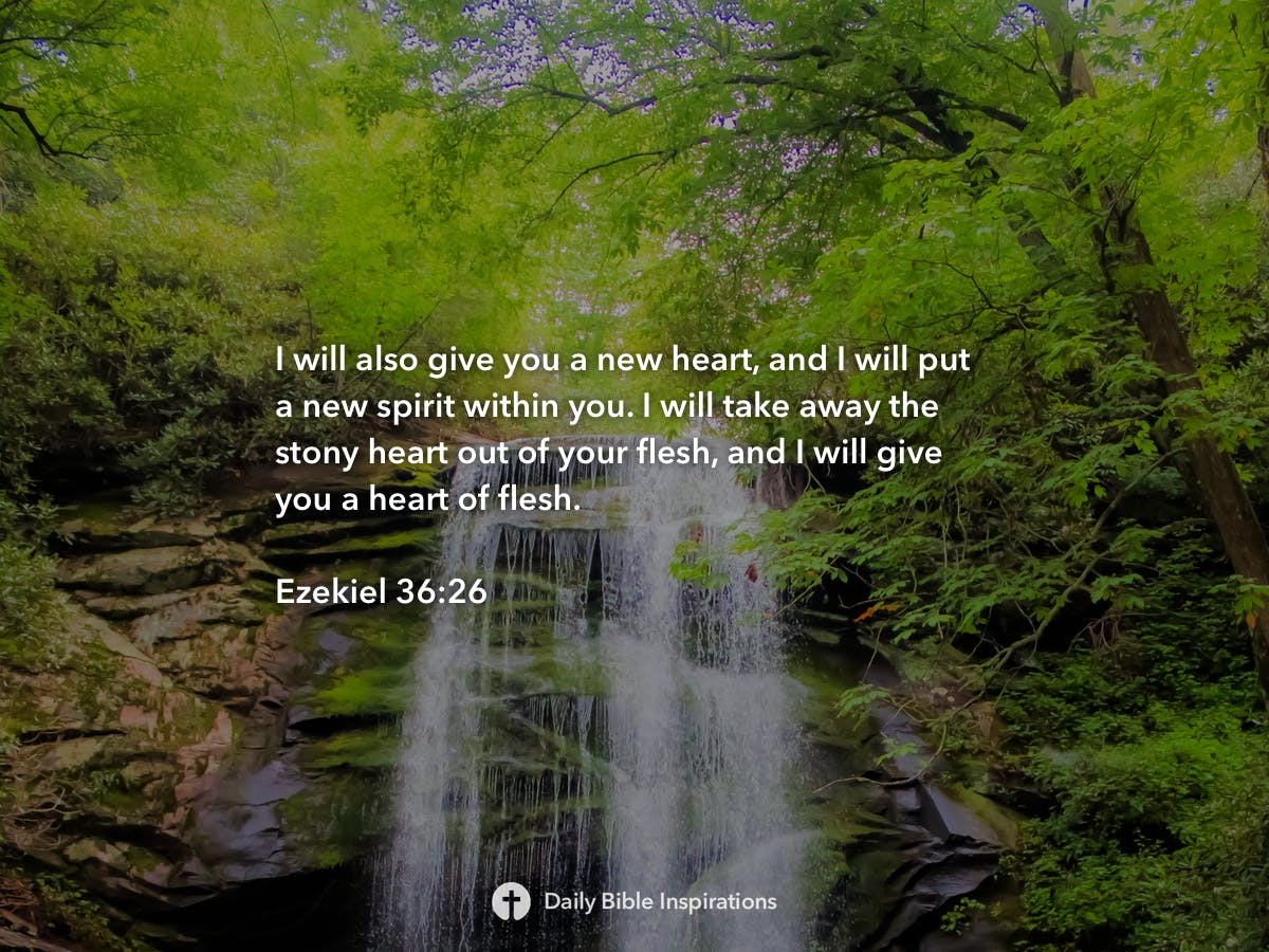 Ezekiel 36:26 - Daily Bible Inspirations