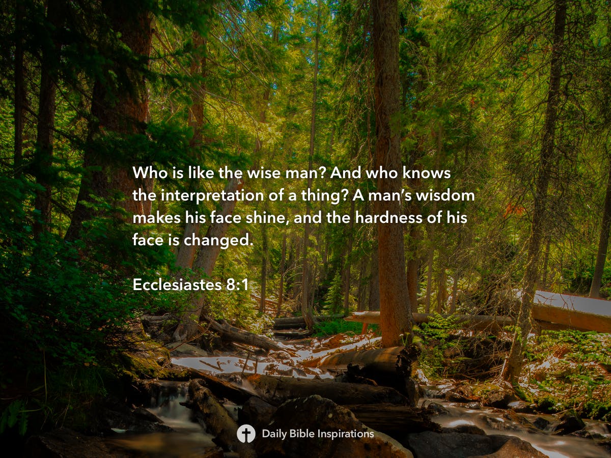 ecclesiastes-8-1-daily-bible-inspirations