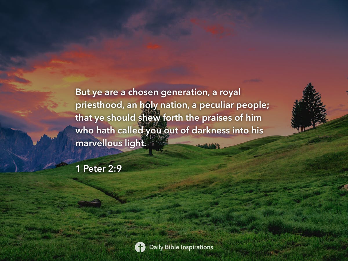 1-peter-2-9-daily-bible-inspirations