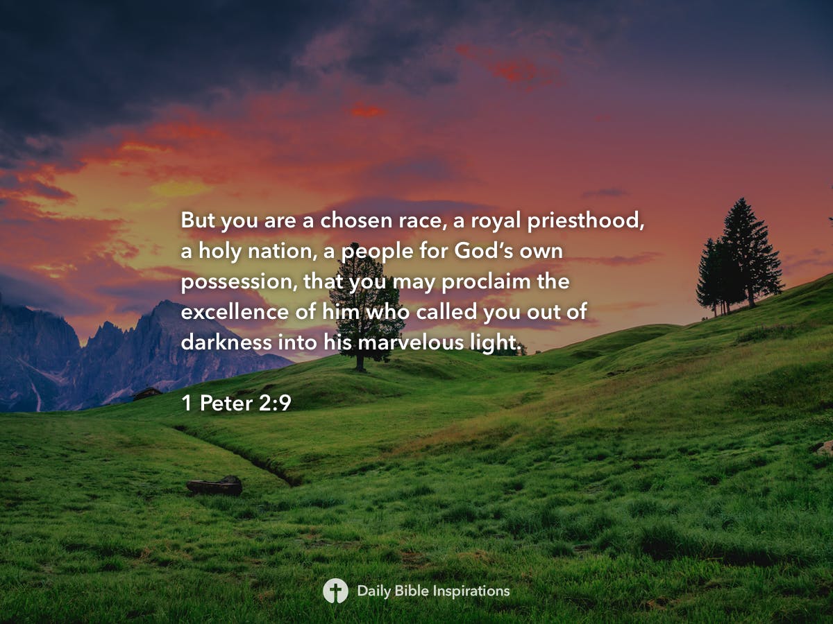 1-peter-2-9-daily-bible-inspirations