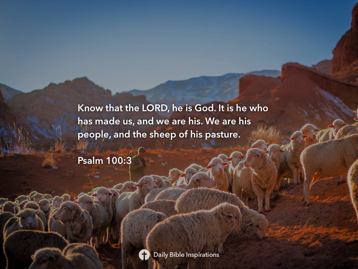 Psalm 100:3 | Daily Bible Inspirations