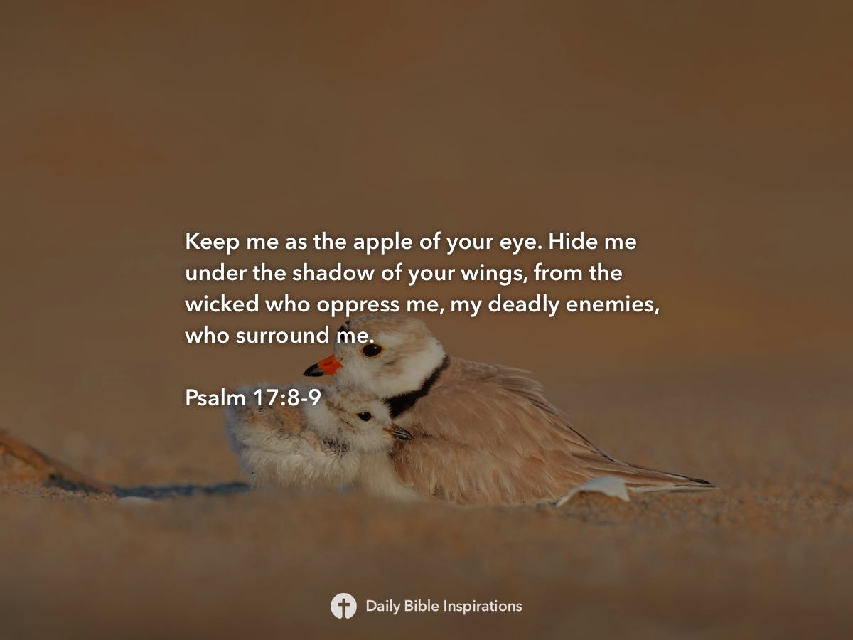 psalm-17-8-9-daily-bible-inspirations