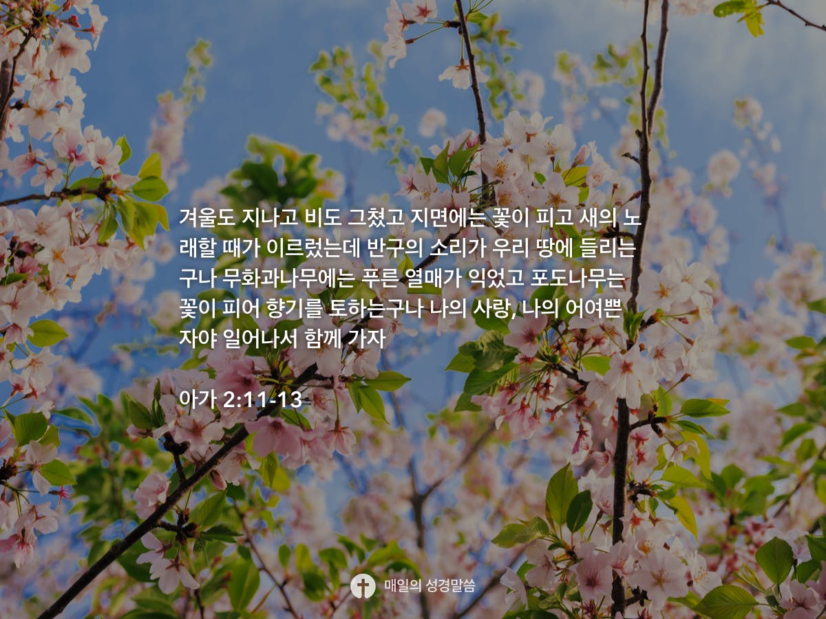 아가 2:11-13 - Daily Bible Inspirations