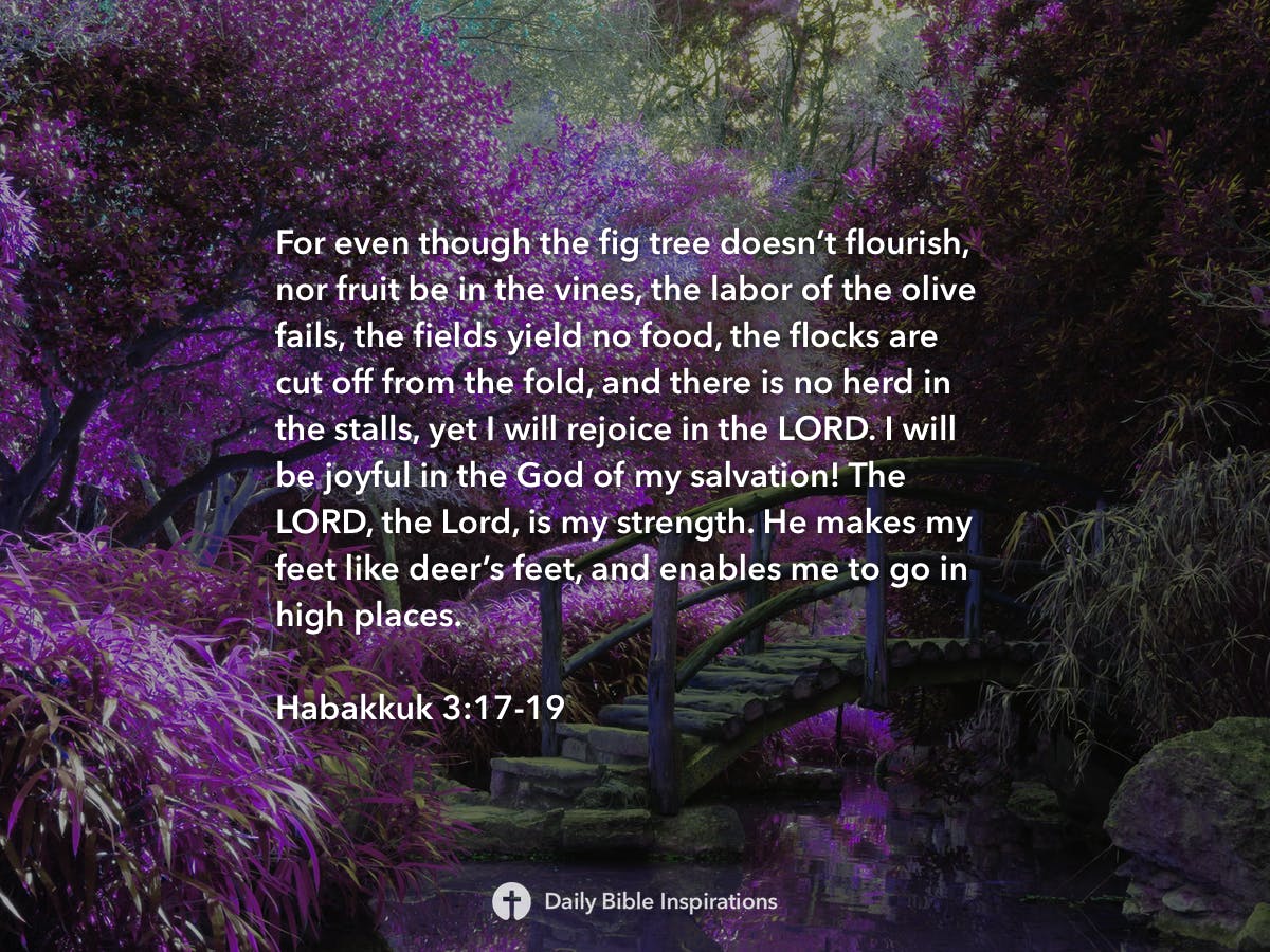 Habakkuk 3:17-19 | Daily Bible Inspirations