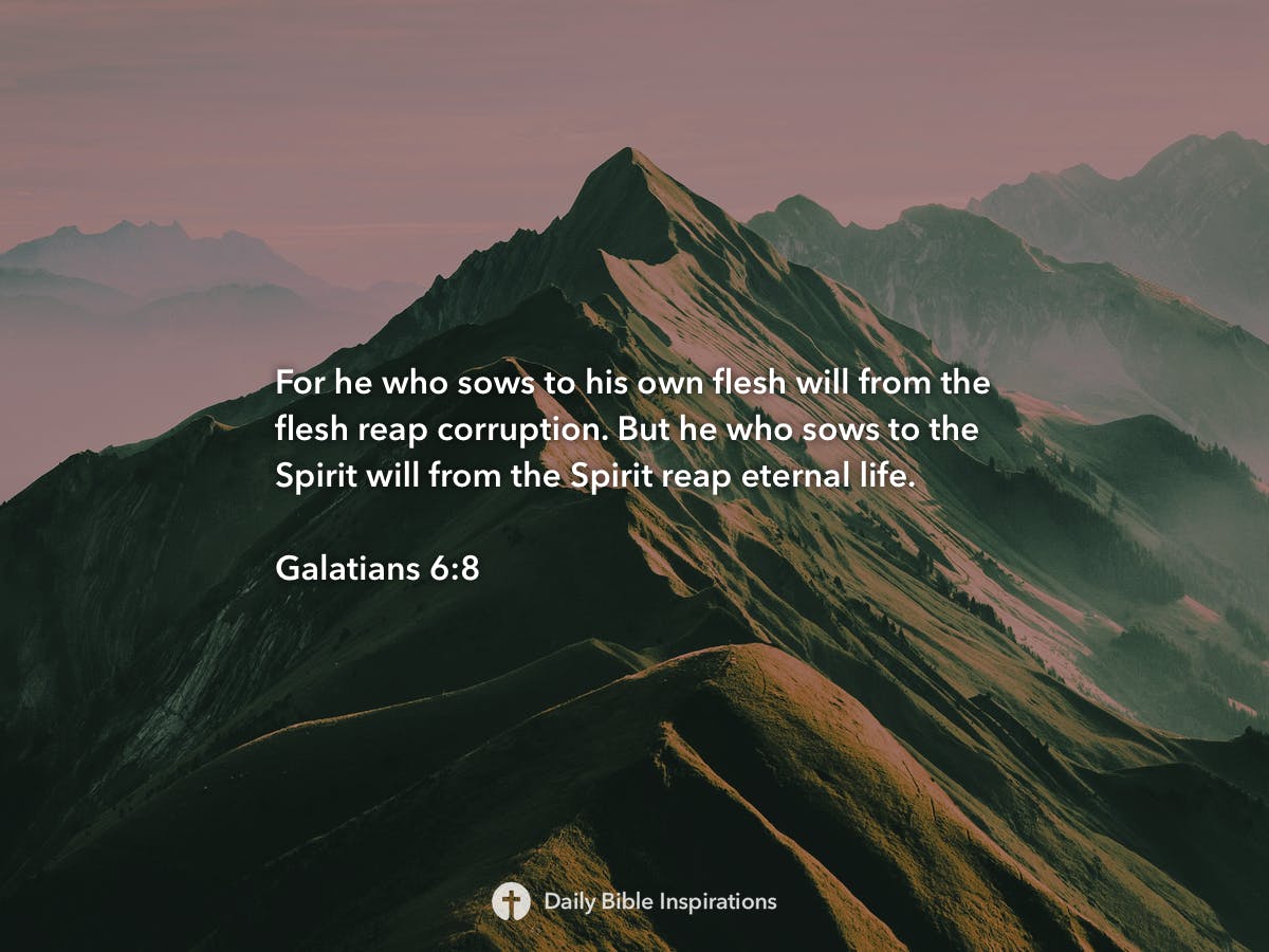 Galatians 6:8 - Daily Bible Inspirations