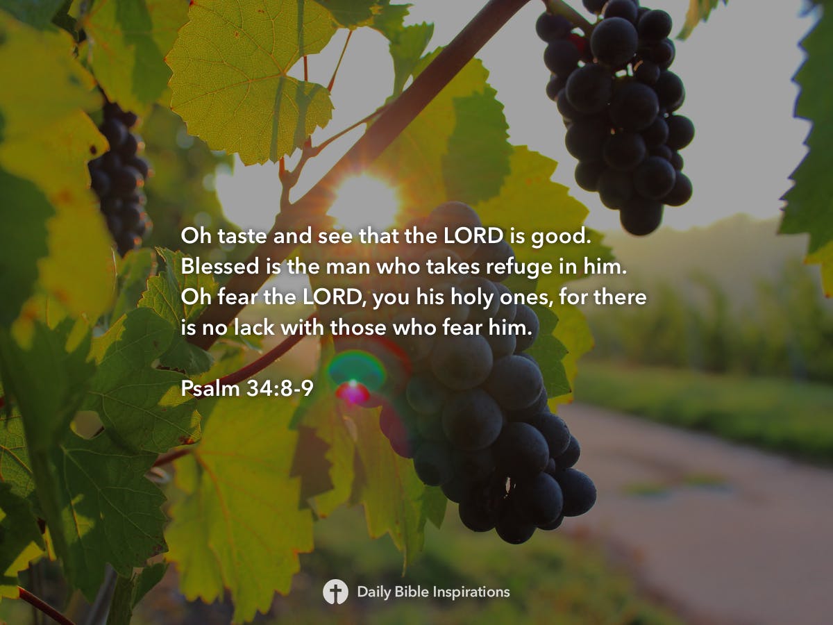 Psalm 34 8 9 Nlt