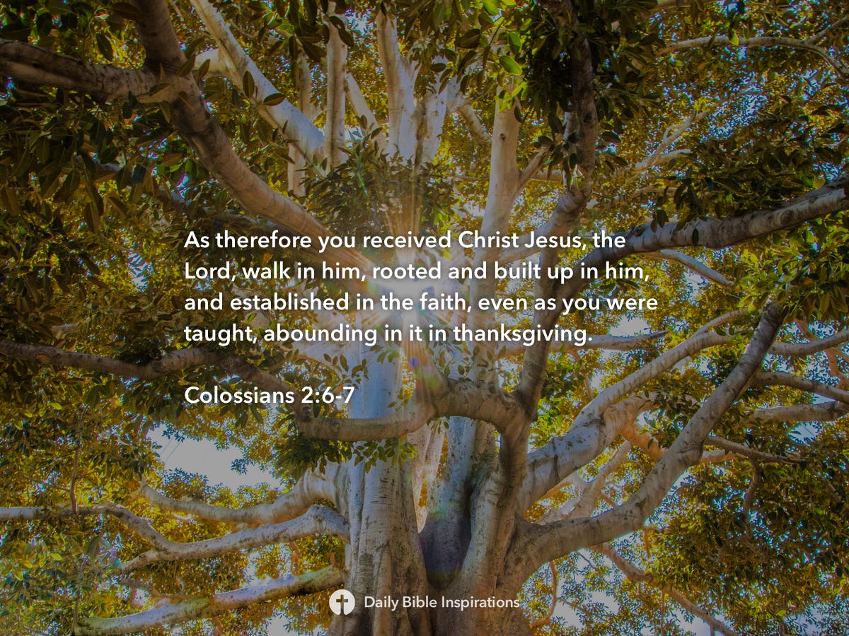 Colossians 2:6-7 - Daily Bible Inspirations