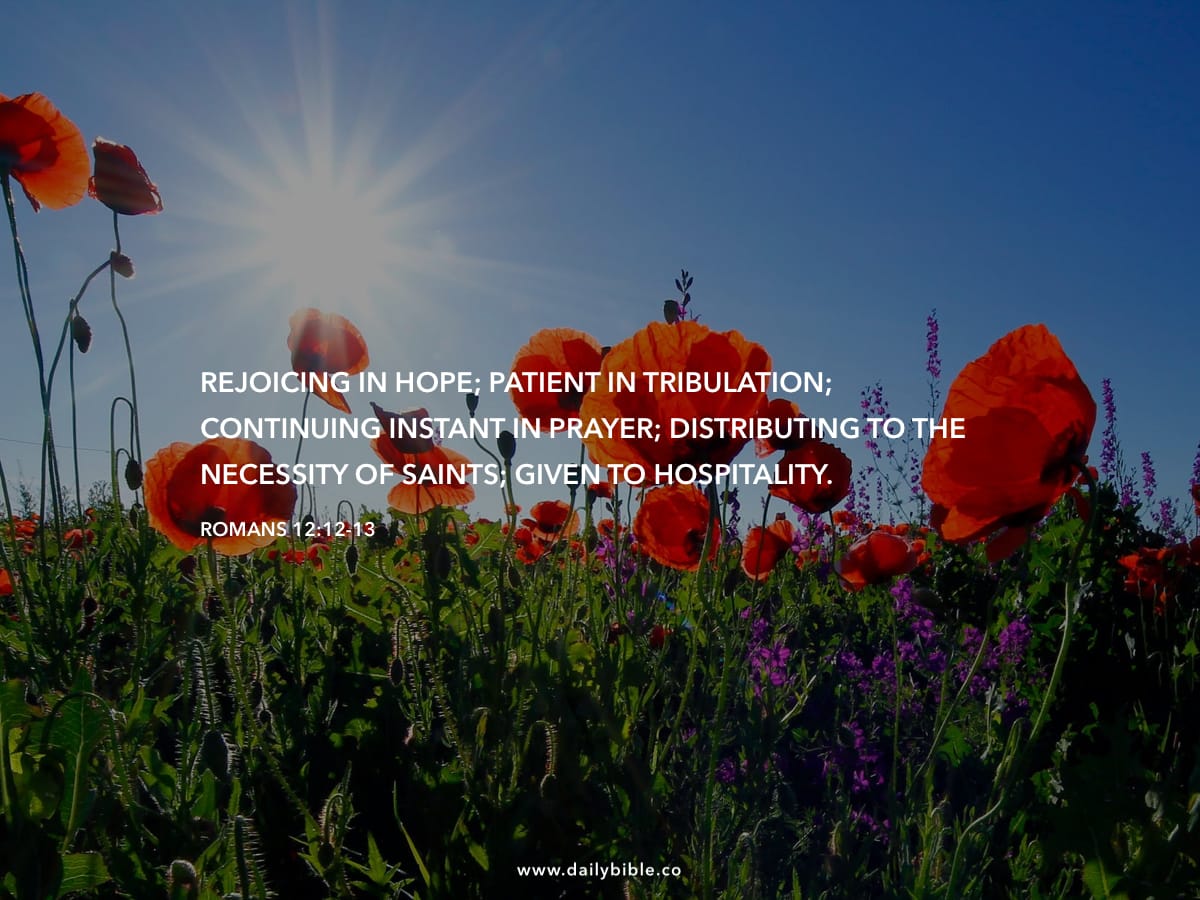 Romans 12 12 13 Daily Bible Inspirations Romans 12 12 13 daily bible inspirations