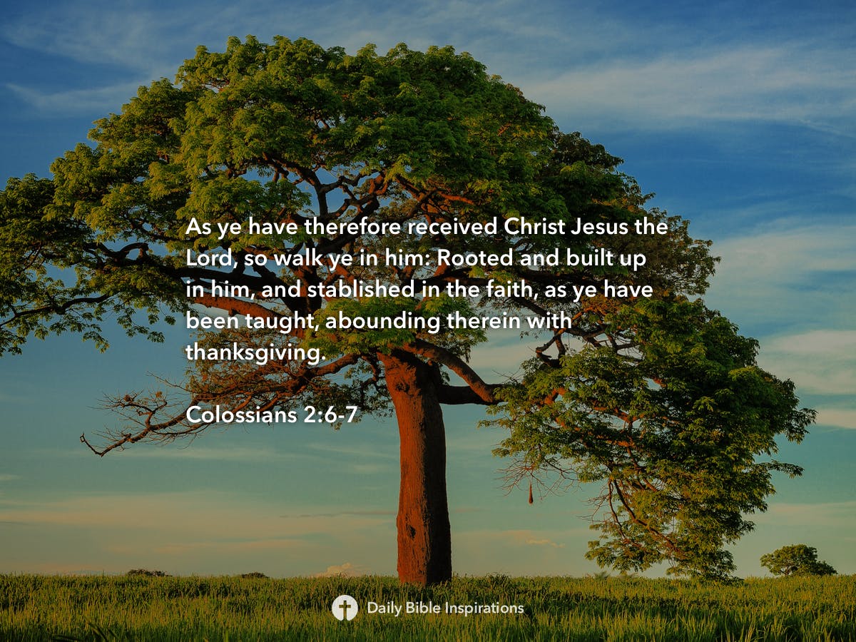 Colossians 267 Daily Bible Inspirations