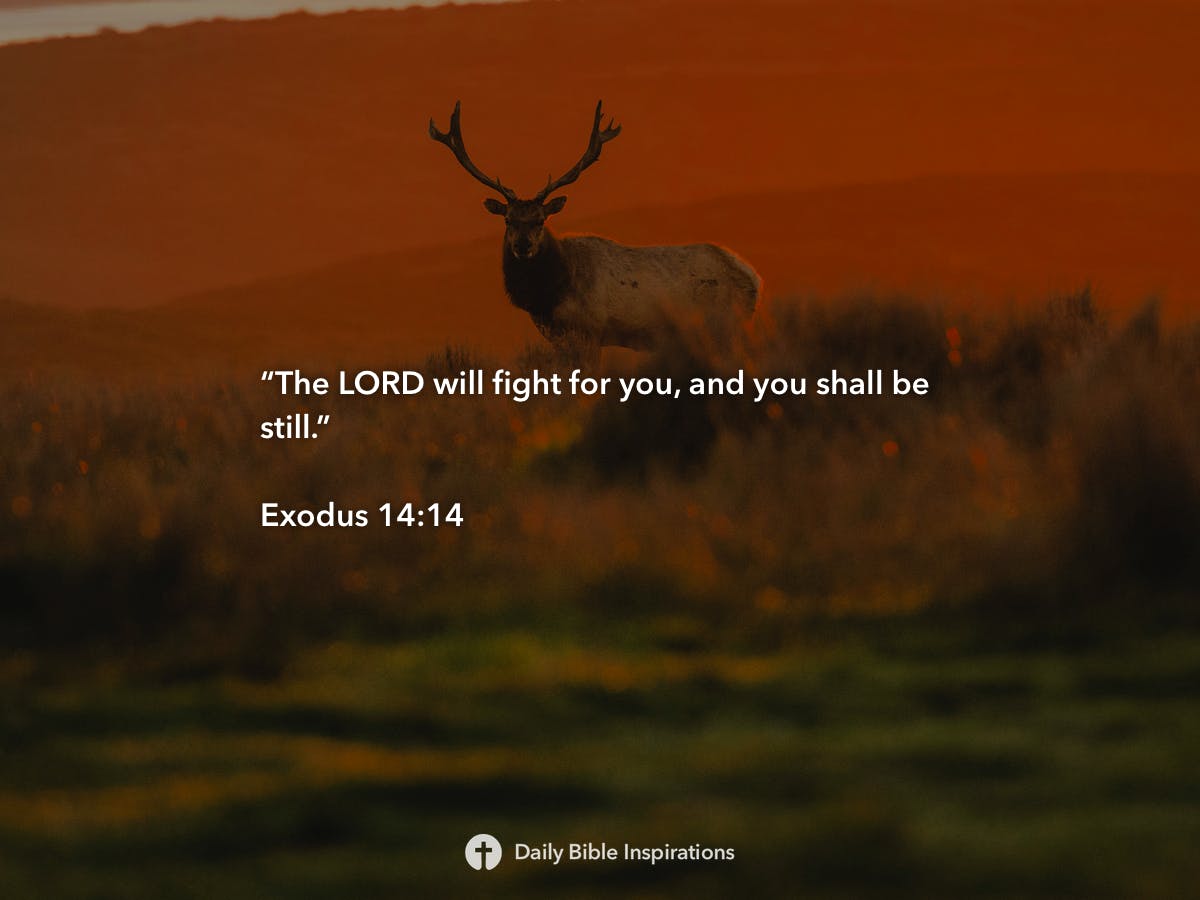 Exodus 14 14 Daily Bible Inspirations