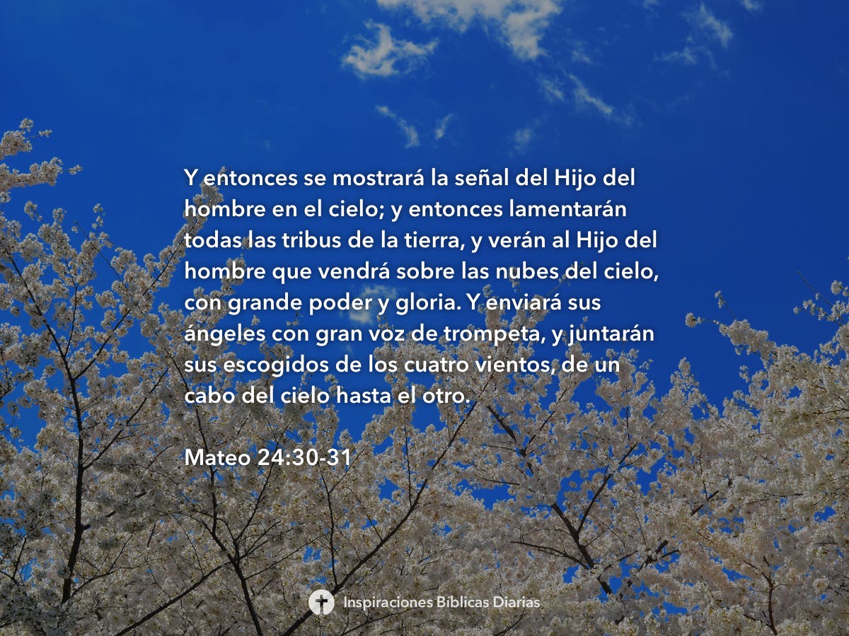 mateo-24-30-31-inspiraciones-b-blicas-diarias