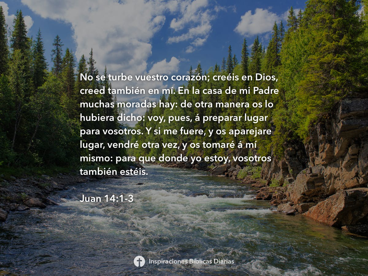 Juan 14:1-3 - Inspiraciones Bíblicas Diarias