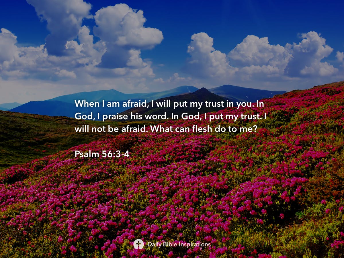 psalm-56-3-4-daily-bible-inspirations