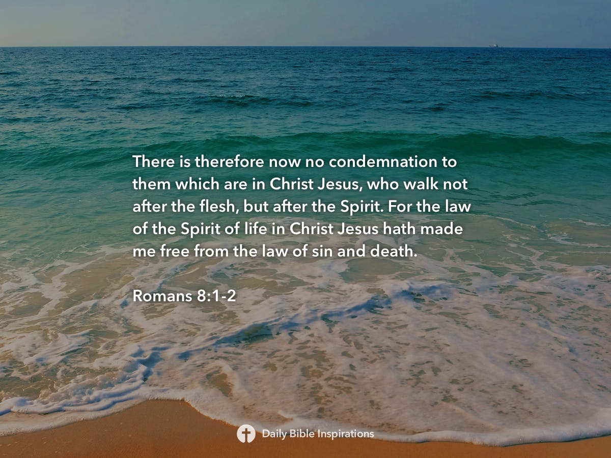 Romans 8 1 2 Daily Bible Inspirations