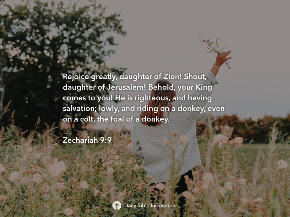 zechariah-9-9-daily-bible-inspirations