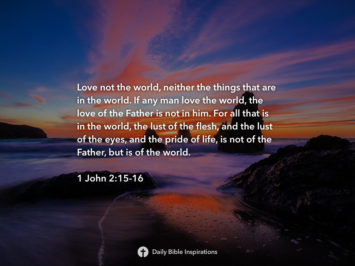 john 15 16