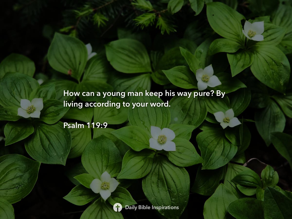 Psalm 119 9 daily bible inspirations
