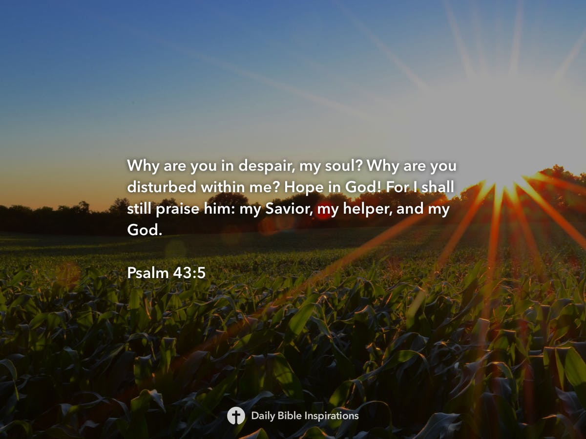 Psalm 43:5 | Daily Bible Inspirations