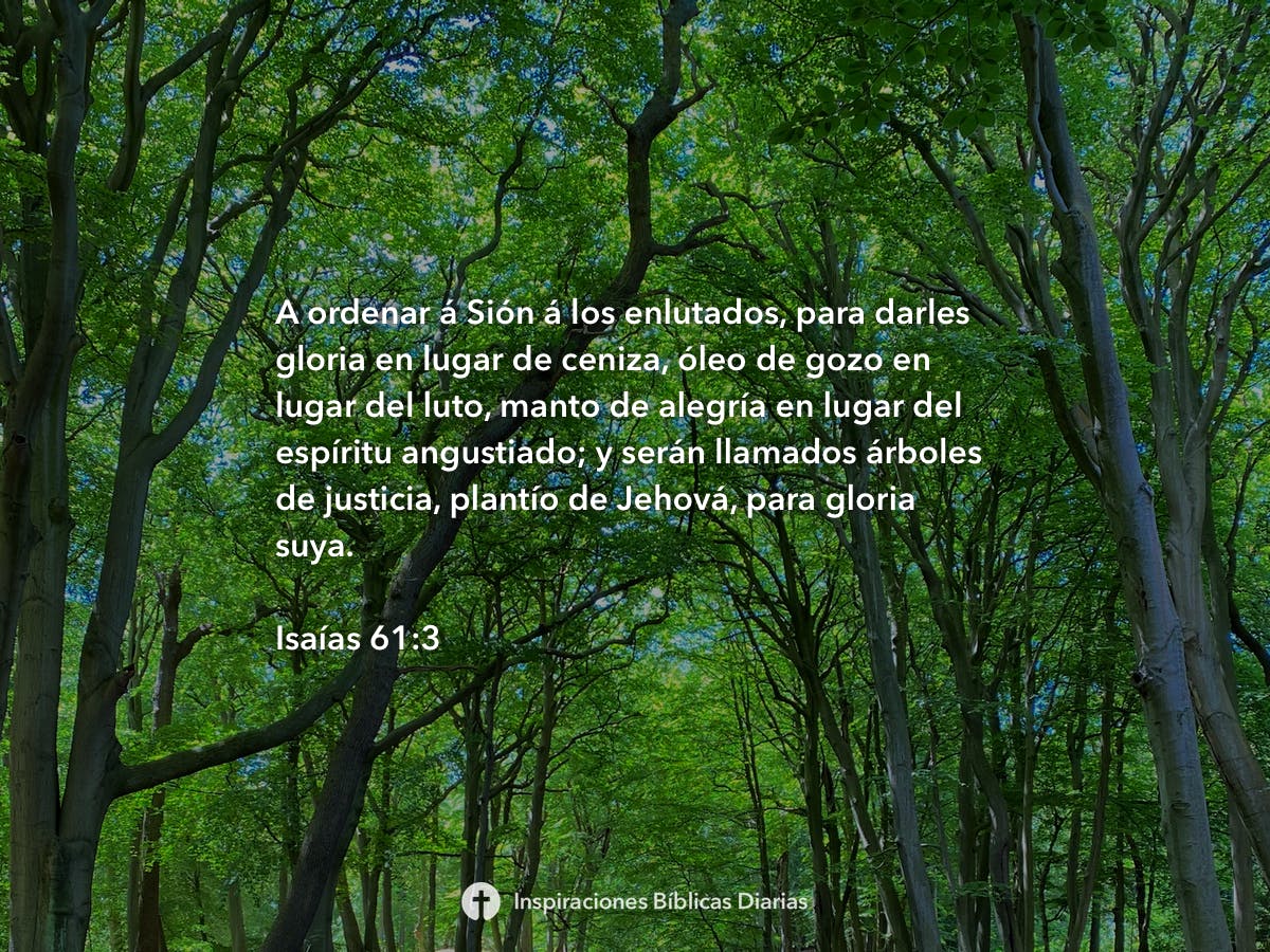 Isaías 61:3 - Inspiraciones Bíblicas Diarias